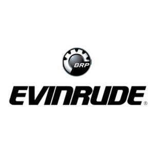 Evinrude Diagnostics