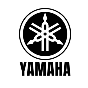 Yamaha Diagnostics