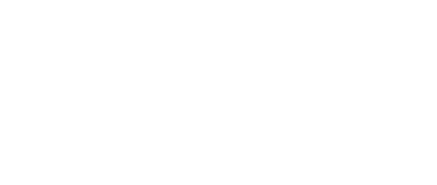 Agilis_Logo_White
